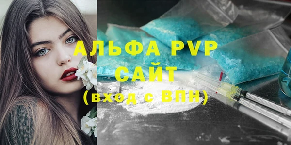 прущие грибы Кукмор