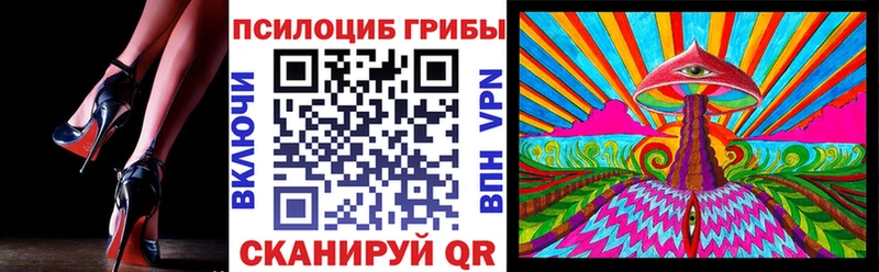 Псилоцибиновые грибы GOLDEN TEACHER  Новошахтинск 
